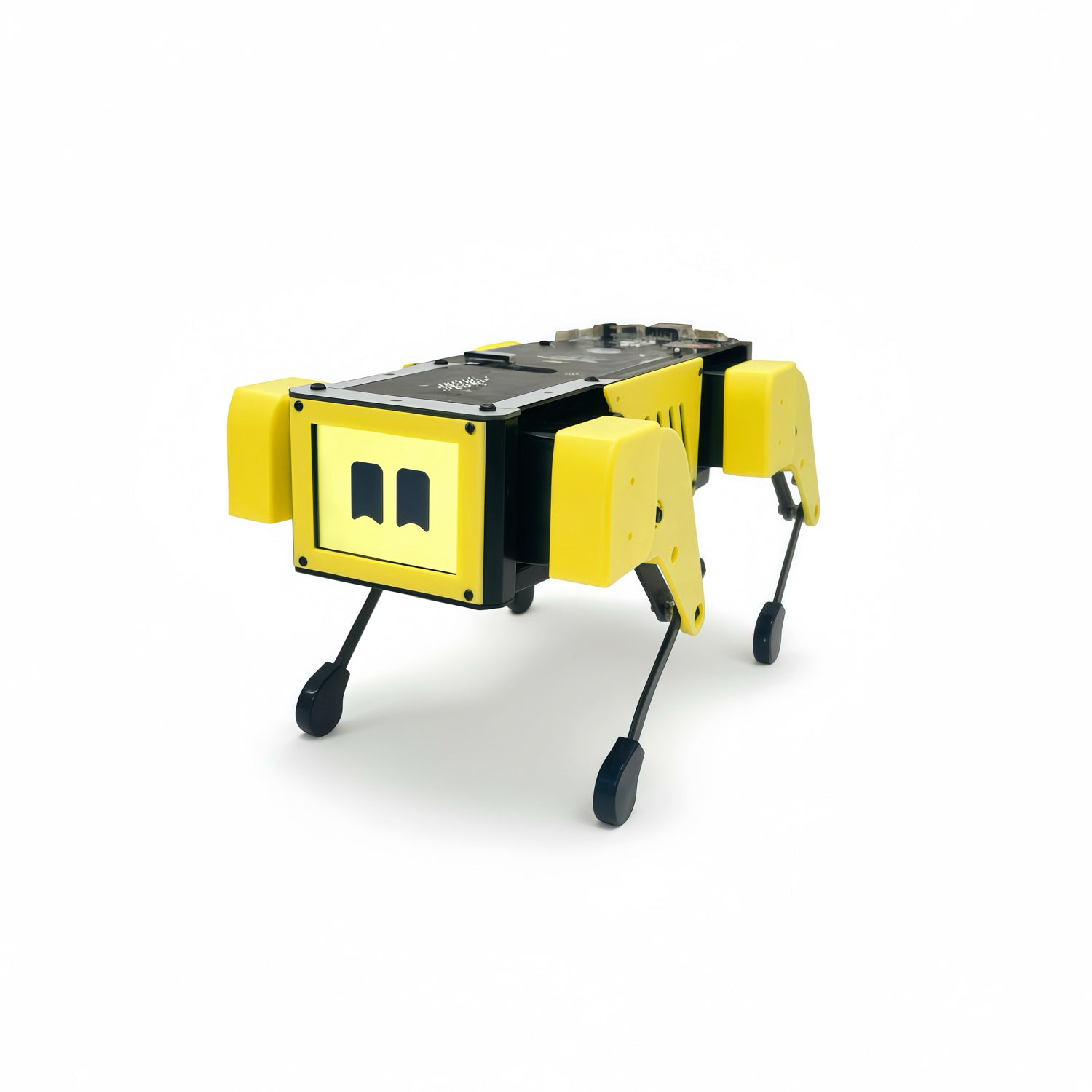 Figure 5 — The MangDang Mini Pupper 2 assembled standard unit. Despite its 450 g weight and palm-sized footprint, it runs ROS2 on a Raspberry Pi and carries a stereo depth camera in the Pro configuration.